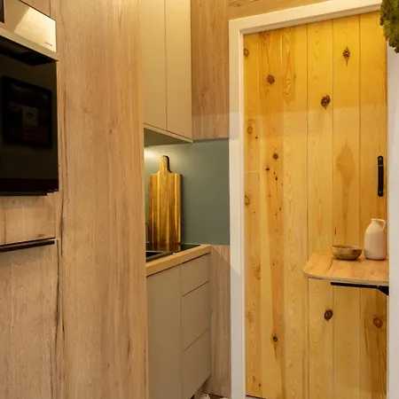 Tatra Heart W Samym Centrum Zakopanego Apartzakop Апартаменты