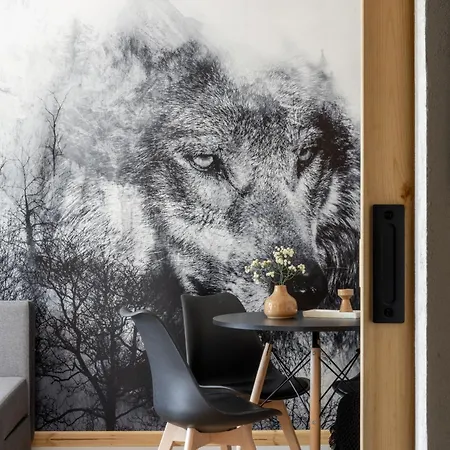 Apartment Tatra Heart W Samym Centrum Zakopanego Apartzakop *