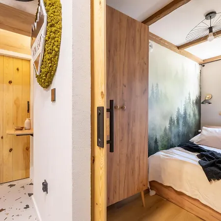 Апартаменты Tatra Heart W Samym Centrum Zakopanego Apartzakop Закопане